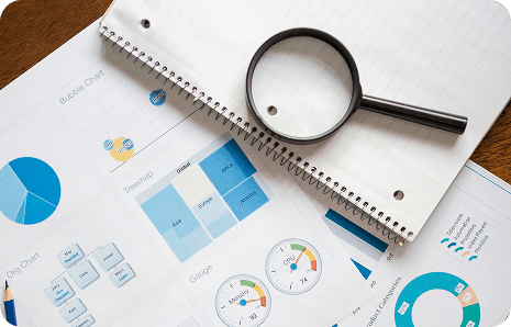 EGBC Report Auditor