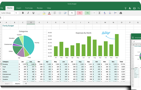 Excel Data Entry Automation